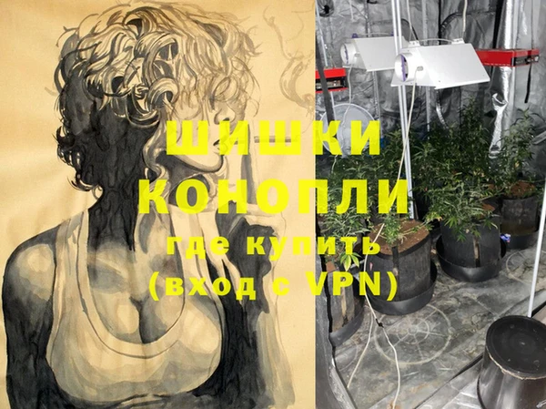 первитин Гусиноозёрск