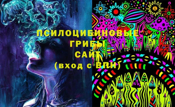 прущие грибы Гусь-Хрустальный