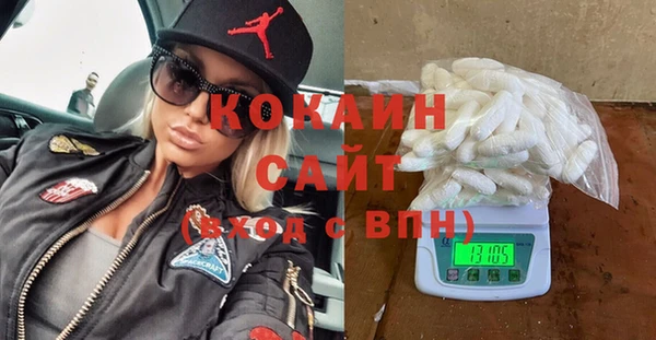 прущие грибы Гусь-Хрустальный