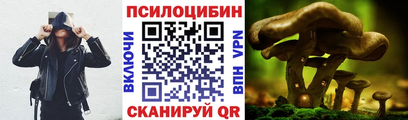 Псилоцибиновые грибы Cubensis  сайты даркнета наркотические препараты  Ейск 